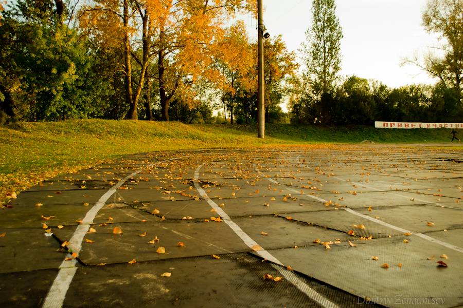 Осенний фестиваль инвалидов пройдет в Ижевске 21 сентября